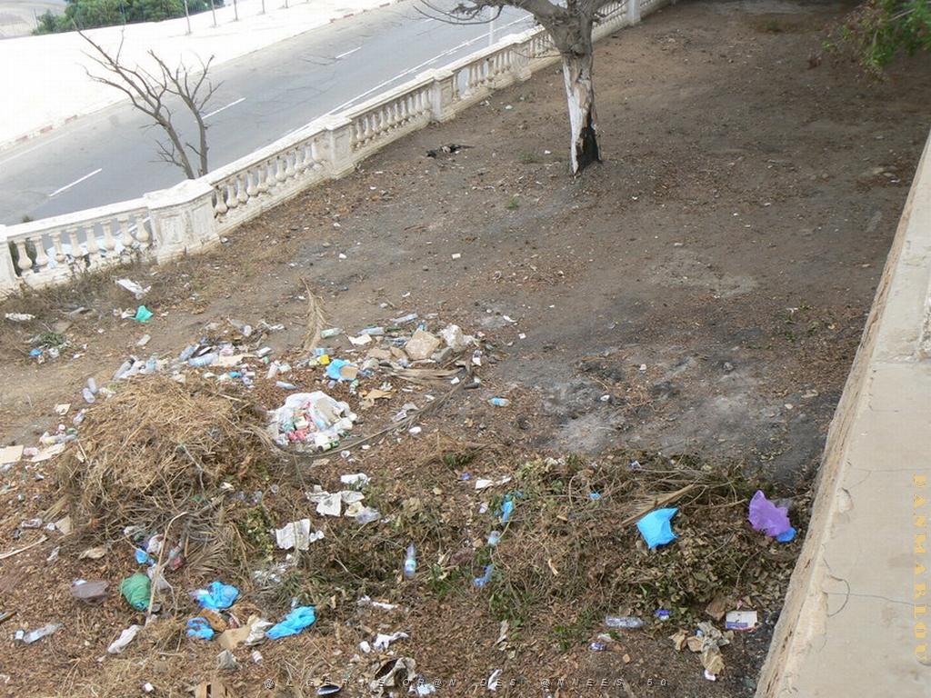 58 promenade de Letang .jpg